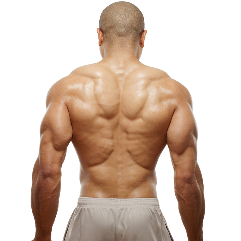 Akin Ajamu - Body - Light Gray Shorts 01